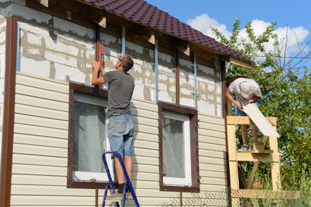 Best Siding Painting and Refinishing  in Allen Park, MI