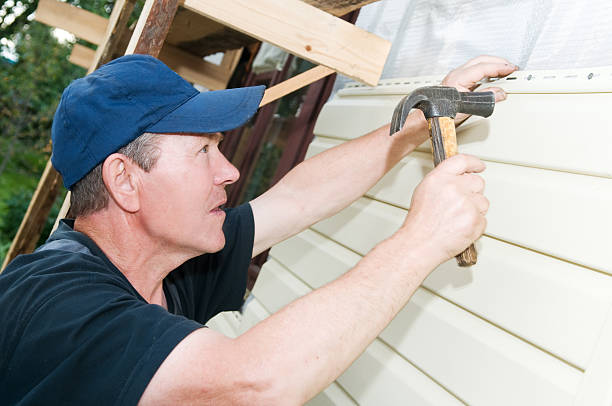 Best Siding Removal and Disposal  in Allen Park, MI